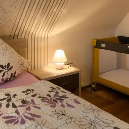 Koepfleblick Im Haus Bergblick Appartement